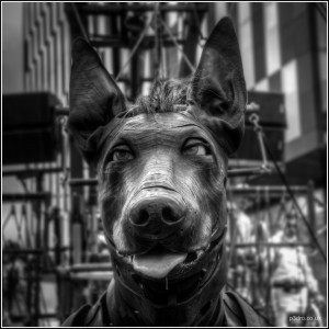 Drool ... courtesy Peter Goodbody (p3dro.co.uk)