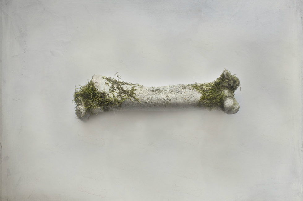 Artist of the Month: Jon Barraclough