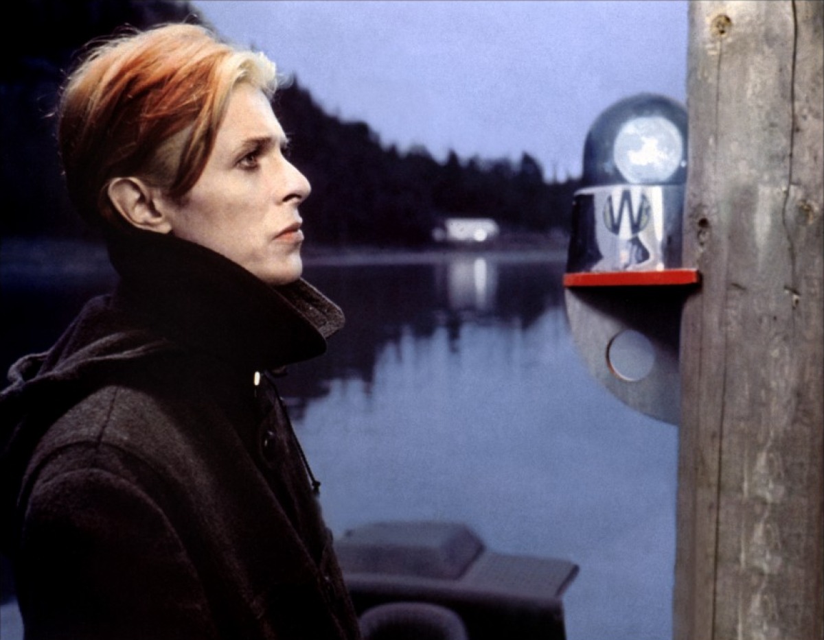 The Man Who Fell to Earth 