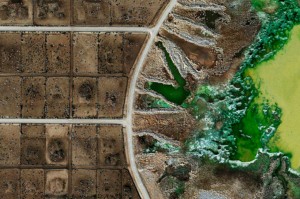 British artist Mishka Henner’s aerial photographs of large feedlots—features of industrial beef farming