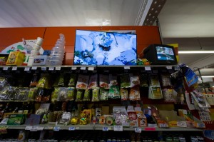Ian Cheng, Something Thinking of You, 2015. Installation view at Hondo Chinese Supermarket for Liverpool Biennial 2016. Photo: Mark McNulty
