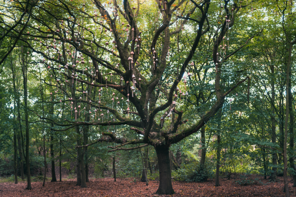 See Serena Korda’s The Bell Tree at Speke Hall, Liverpool, until Sunday 28 July 2019. Open daily from 10.30-4pm  All images courtesy of photographer Chris Egon Searle