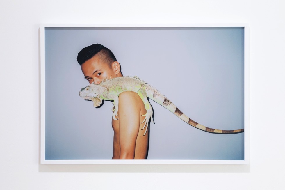 Ren Hang, Lizard. Installation shot courtesy Scott Charlesworth for Open Eye Gallery, 2018.