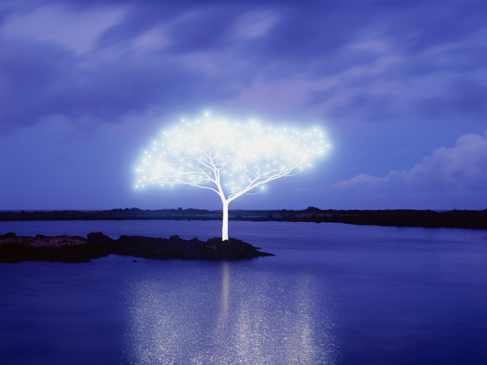 Tree of Life © Jeong Lok Lee