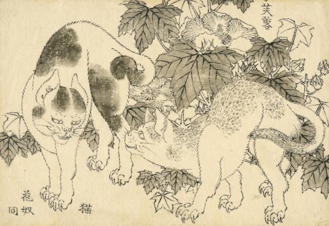 Cats_and_hibiscus_Hokusai_The_Great_Picture_Book_of_Everything_0