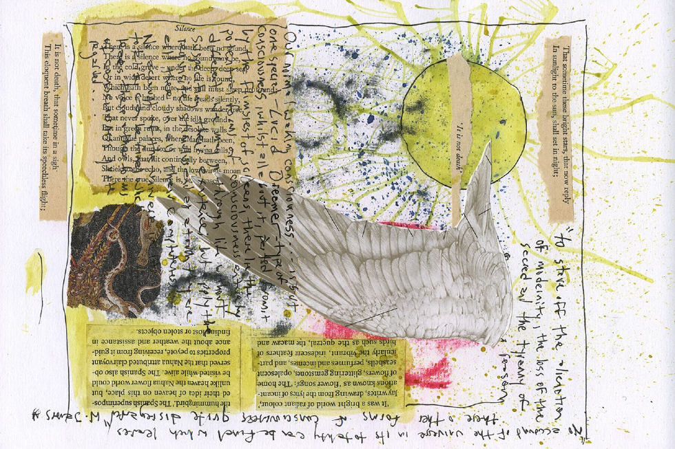Collage from Wild Twin by Jeff Young, 2024